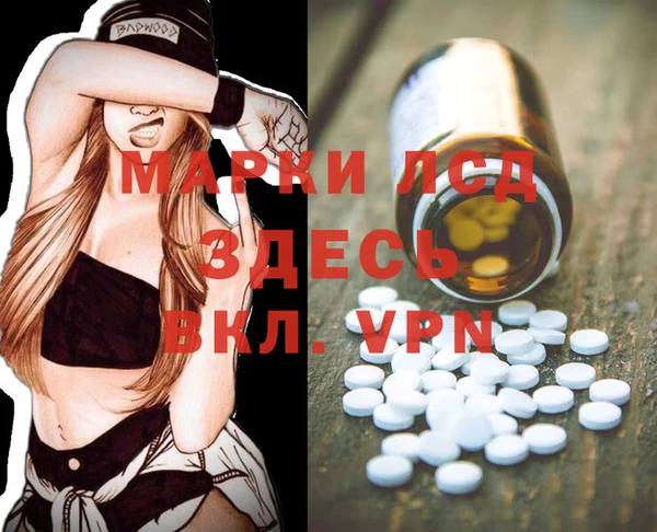spice Армянск