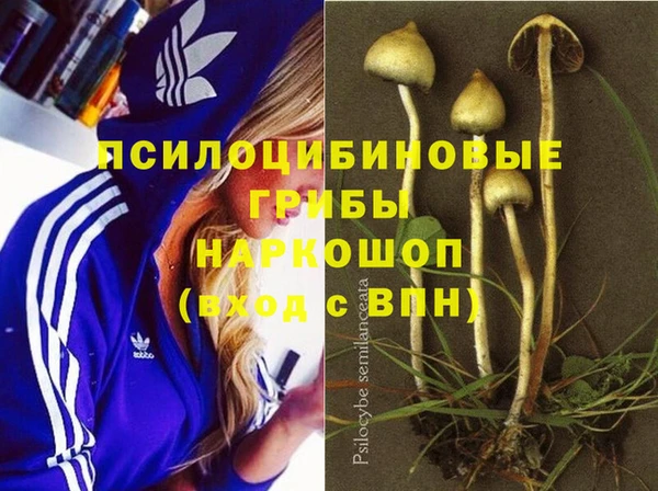 скорость Арсеньев