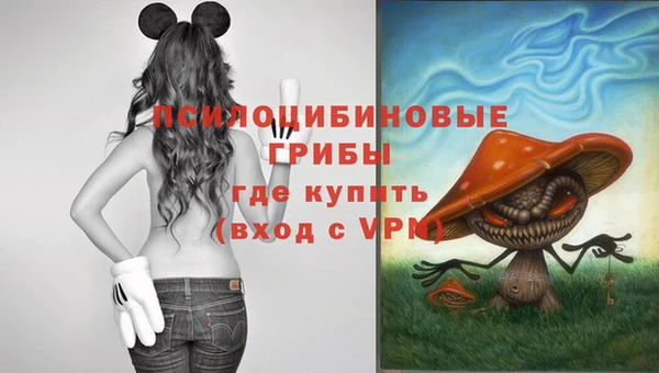 марки lsd Аркадак