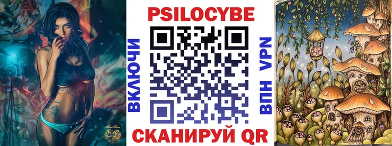 Псилоцибиновые грибы Psilocybine cubensis  Артёмовск 